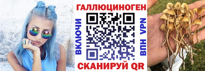 Галлюциногенные грибы ЛСД  Юрьев-Польский 