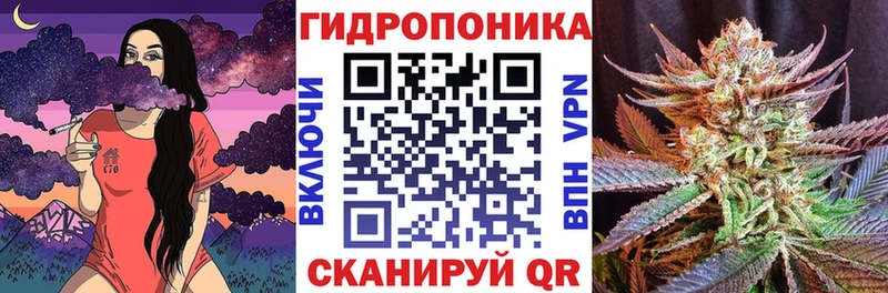 Канабис White Widow  хочу наркоту  mega зеркало  Юрьев-Польский 
